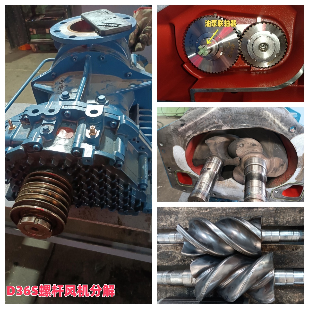 山東東營某凈化公司 艾珍D36S螺桿風(fēng)機(jī)維修實例